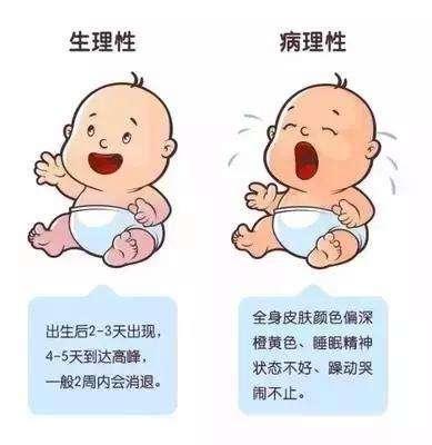 八个月宝宝胃有多大