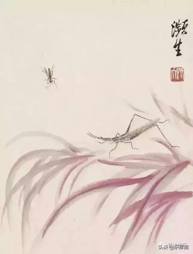 和平鸽怎么画简单点