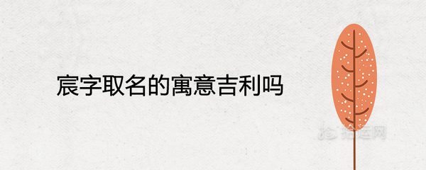 宸字取名的寓意好吗