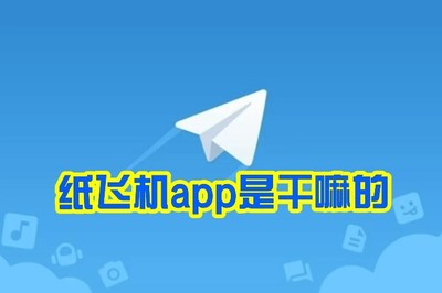 纸飞机手机版怎么设置成中文