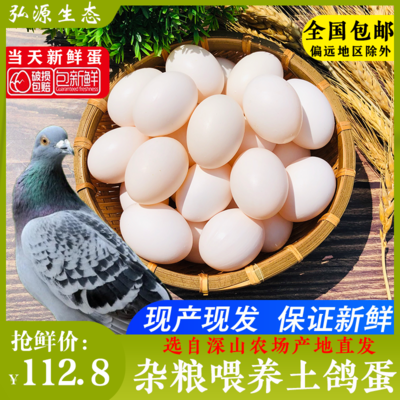 十个月宝宝能吃鸽子蛋吗