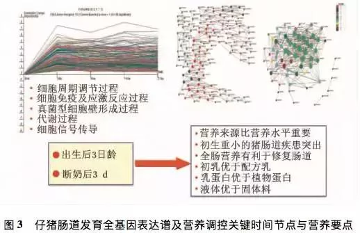 为什么不建议吃玉米油(玉米油的营养价值对比)