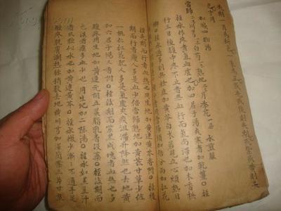 善五行