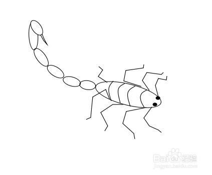 蝎子图片绘画