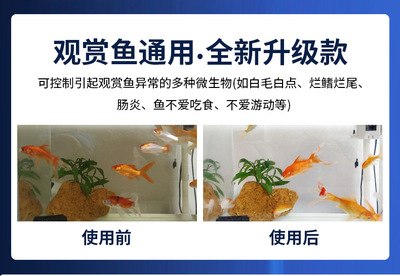 龍魚爛鰭怎么辦：如何治療龍魚爛鰭