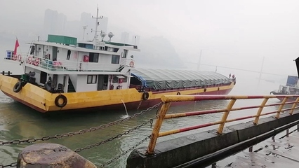 船舶没有黄旗
