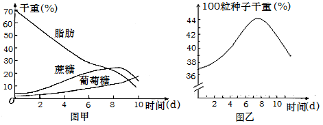 测量水的温度作文怎么写