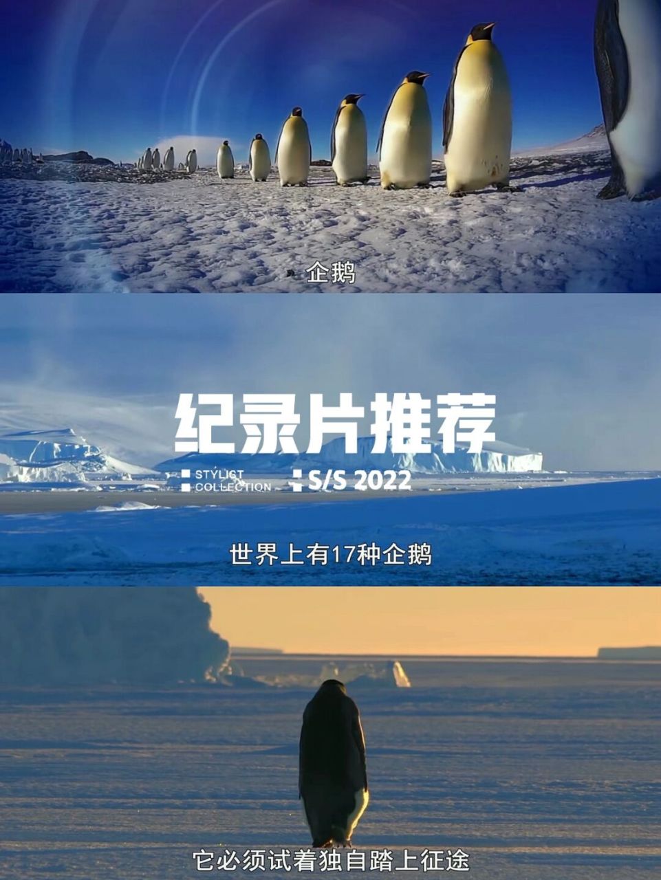 亚博国际线上娱乐