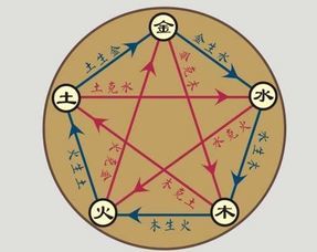 仲的五行