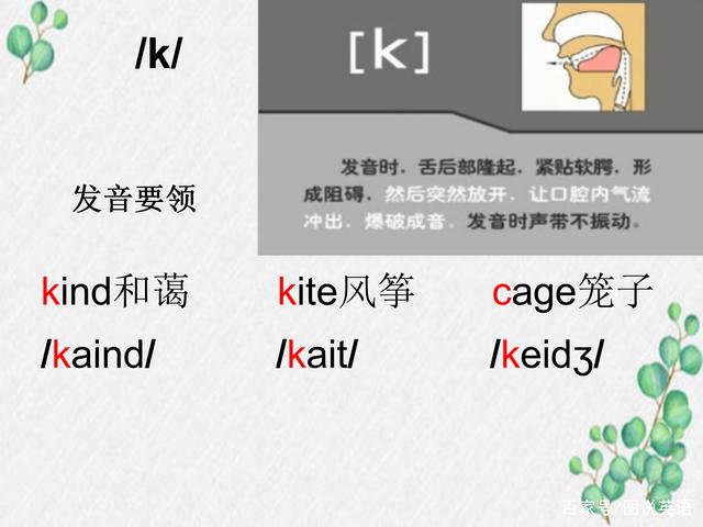 kind音标
