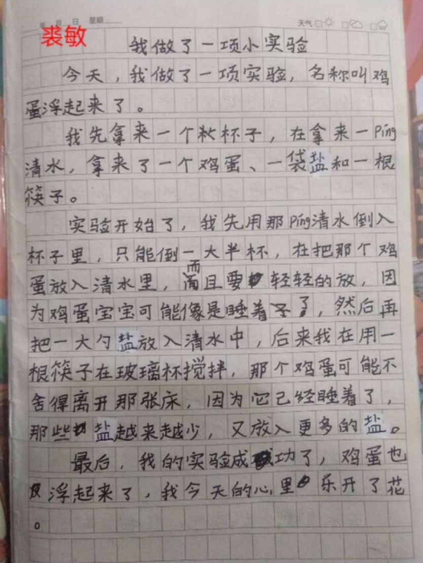 帮我写一篇作文300字左右题目是我做了一个实验