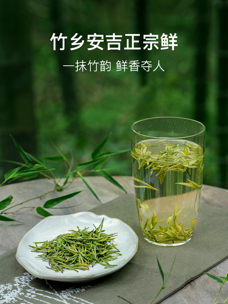 安吉白茶 绿茶